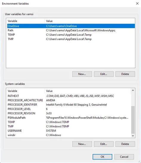 Understanding System Environment Variables