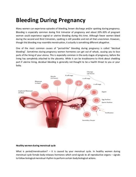 Understanding Vaginal Bleeding During the Initial Stages of Pregnancy