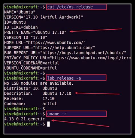 Understanding Various Linux Commands to View Programs That Are Currently Installed