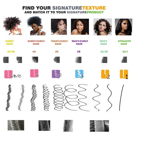 Understanding Your Hair Type: Determining the Ideal Cut