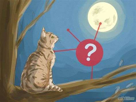 Understanding a Dream Involving a Feline and Its Offspring