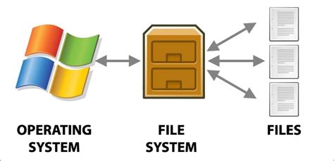 Understanding the Basics of File Sharing on Microsoft Operating Systems