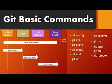 Understanding the Basics of Git