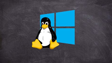 Understanding the Basics of Windows and Linux Integration