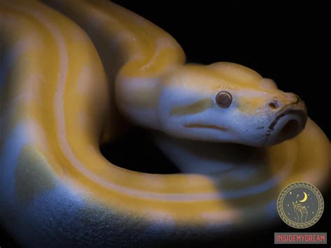 Understanding the Biology: How Albinism Impacts the Visual Perception of Pythons