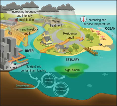 Understanding the Causes and Risks of Water-Related Harm