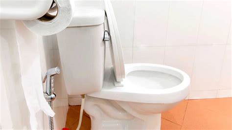 Understanding the Causes of Toilet Blockages