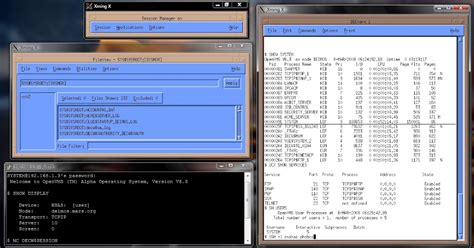 Understanding the Concept and Advantages of X11 Redirection