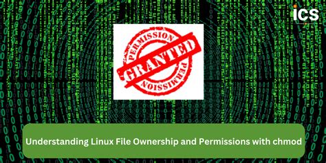 Understanding the Concept of Ownership in the Linux Environment