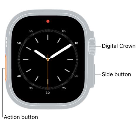 Understanding the Digital Crown on Apple Watch: A Comprehensive Guide