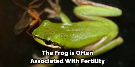 Understanding the Frog's Association with Fertility and Motherhood