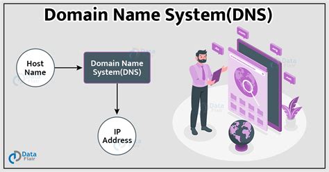 Understanding the Function and Significance of the Domain Name System (DNS)