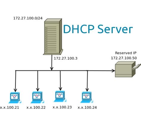 Understanding the Functionality of a DHCP Server