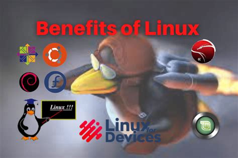 Understanding the Fundamentals and Advantages of Linux Networking