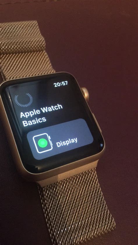 Understanding the Fundamentals of Apple Watch Timepiece Interfaces