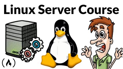 Understanding the Fundamentals of Linux Server Setup