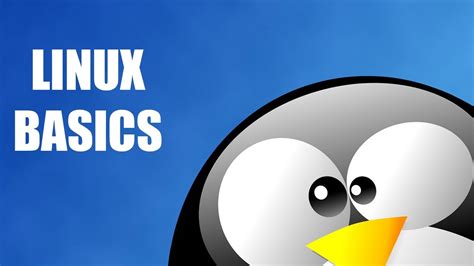 Understanding the Fundamentals of the Linux Operating System