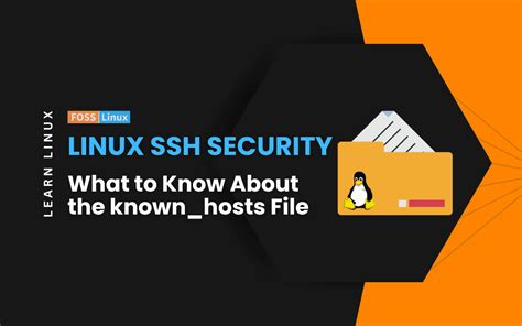 Understanding the Hosts File in Linux