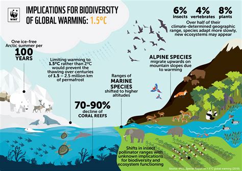 Understanding the Impact: How Ice and Water Shape River Ecosystems