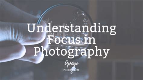 Understanding the Importance of Focus in Photography