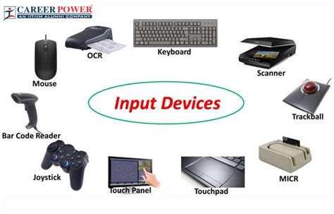 Understanding the Importance of a Physical Input Device