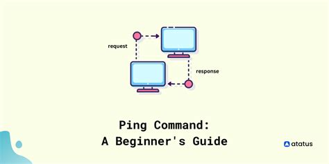 Understanding the Ping Functionality in a Linux System