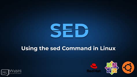 Understanding the Power of sed in Linux: Enhancing Efficiency in Data Manipulation