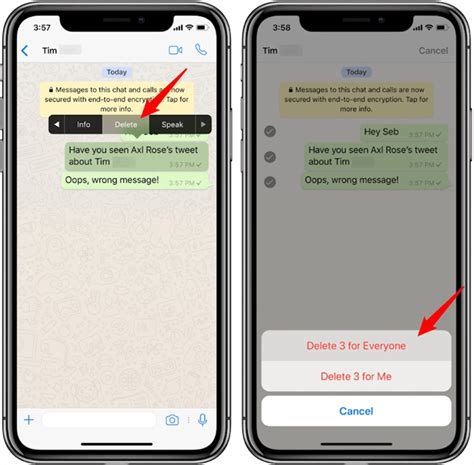 Understanding the Process of WhatsApp Message Deletion on iPhone