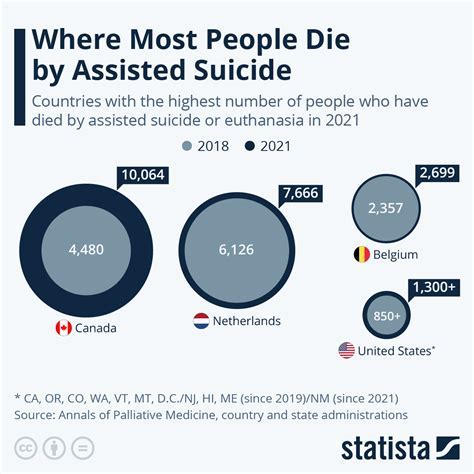 Understanding the Psychological Impact of Death Fixation