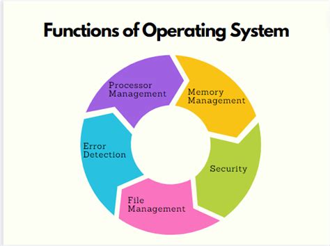 Understanding the Role of Processes in the Operating System