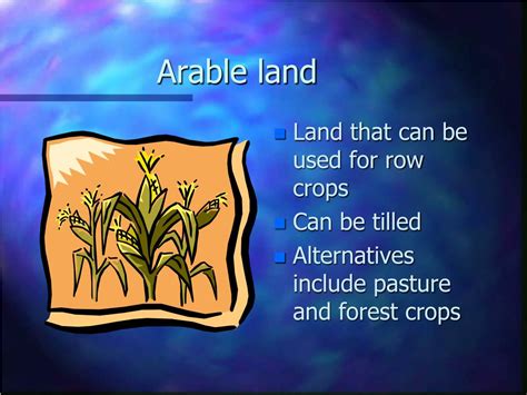 Understanding the Significance of Cultivated Land in Dreams