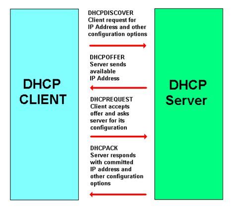 Understanding the Significance of DHCP for Enhanced Online Security