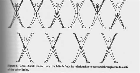 Understanding the Significance of Distal Connectivity