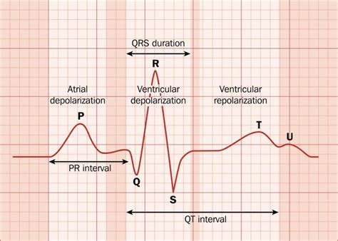 Understanding the Significance of Electrocardiography (ECG) in Health Monitoring