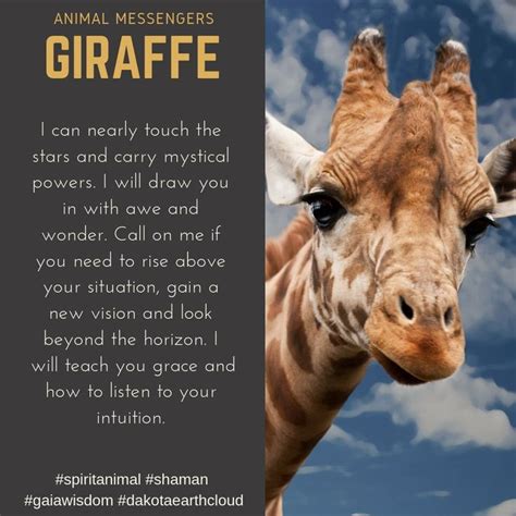 Understanding the Significance of Giraffes as Messengers of the Spirit Animal Realm