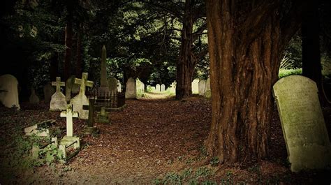 Understanding the Significance of Graveyards