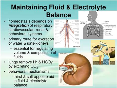 Understanding the Significance of Maintaining Fluid Port Allocation