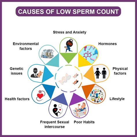 Understanding the Significance of Male Sperm Count and Quality