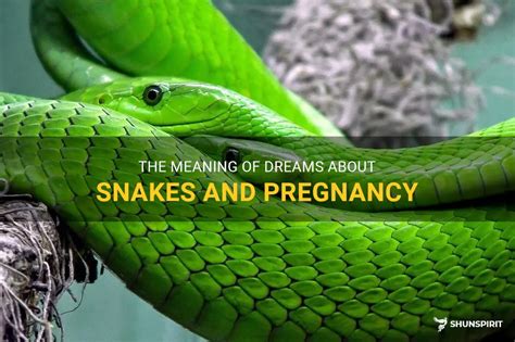 Understanding the Significance of Snake Dreams in Enhancing Pregnancy Care for Reptiles