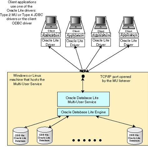 Understanding the Significance of a Database in Linux Environment