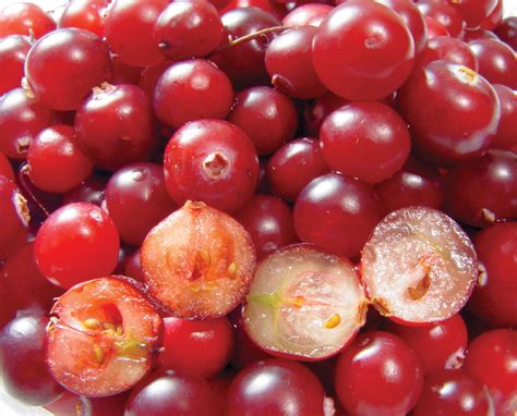 Understanding the Significance of the Cranberry Fruit's Size in Your Dream