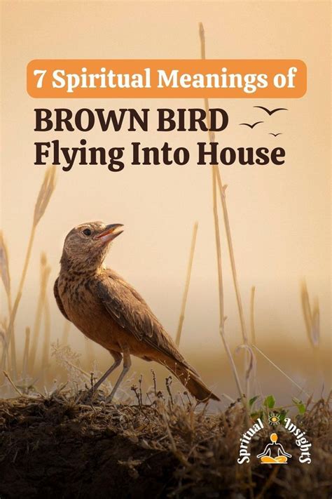 Understanding the Spiritual Connection of Birds Entering Your Home in Dreams