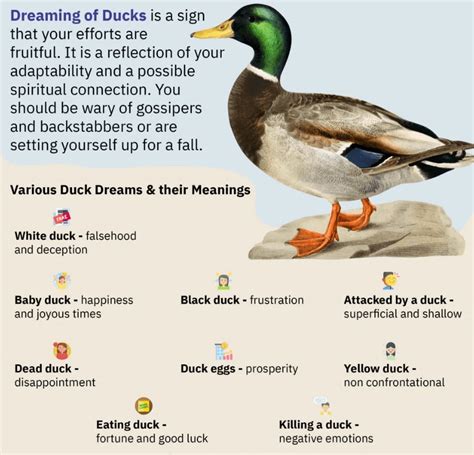 Understanding the Spiritual Significance of Ducks and Ducklings in Dreaming