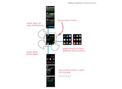 Understanding the Structure of Apple Watch