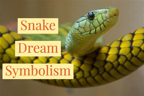 Understanding the Symbolism: Dreams of a Large Dark Serpent