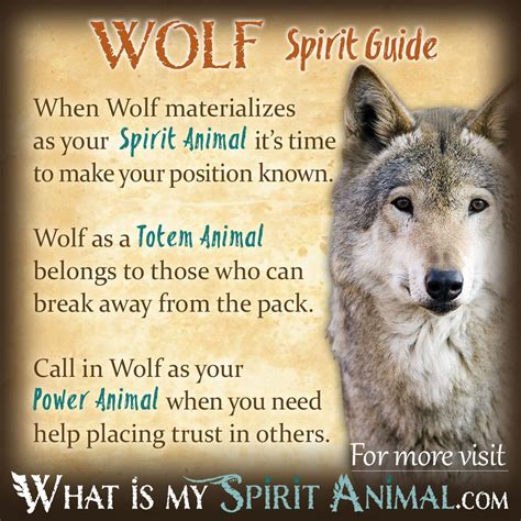 Understanding the Symbolism: Woman's Dream of an Assertive Wolf's Assault