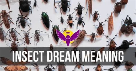 Understanding the Symbolism of Insects in Domestic Settings in Dreams