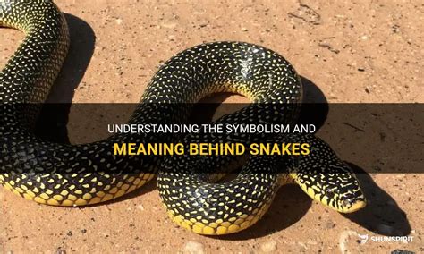 Understanding the Symbolism of Snakes