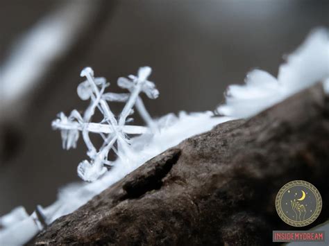 Understanding the Symbolism of a Berry in the Snow