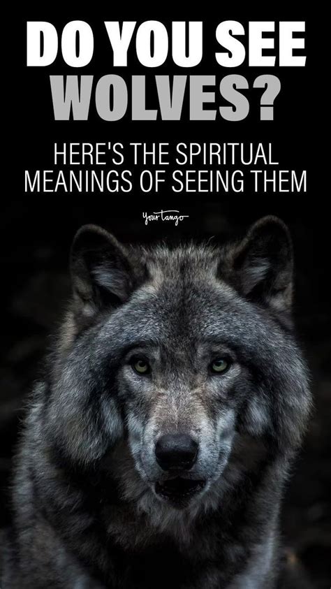 Understanding the Symbolism of a Gentle Wolf in a Woman's Vision